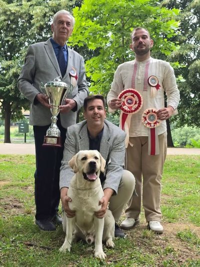 Res. BEST IN SHOW sve rase