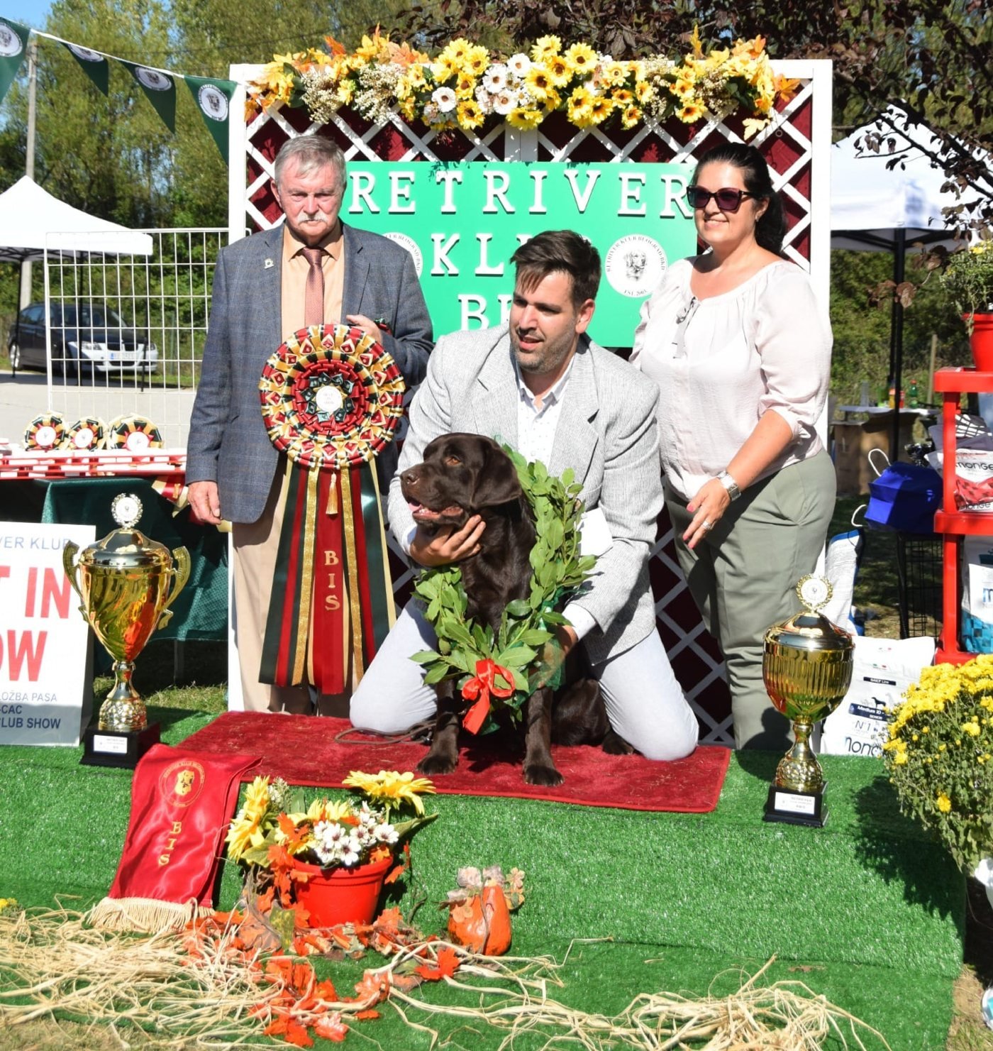 Club Best in Show na specijalki retrivera